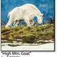 ASC071 "High Mtn. Goat" ceramic coaster