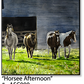 ASC080 "Horsee Afternoon" ceramic coaster