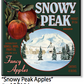 ASC154 "Snowy Peak Apples" ceramic coaster