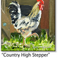 ASC178 "Country High Stepper" Chicken ceramic coaster