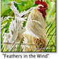 ASC180 "Feathers in the Wind" Chicken ceramic coaster