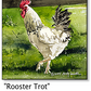 ASC183 "Rooster Trot" Chicken ceramic coaster