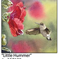 ASC188 "little hummer" ceramic coaster