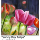 ASC194 "Sunny Day Tulips" ceramic coaster