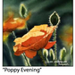 ASC205 "Poppy Evening" ceramic coaster