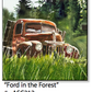 ASC212 “Ford in the Forest“ ceramic coaster