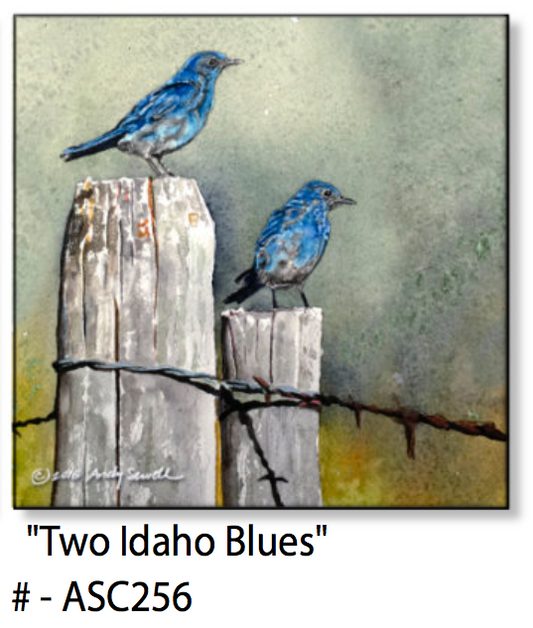 ASC256 "Idaho Blues" ceramic coaster