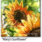 ASC271 "Mary's Sunflower" ceramic coaster