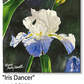 ASC273 "Iris Dancer" ceramic coaster