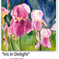 ASC275 "Iris in Delight" ceramic coaster