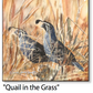 ASC295 "Quail in the Grass" quail ceramic coaster