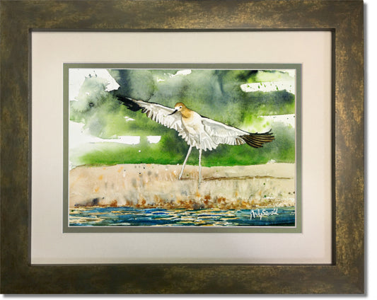 "A is for Avocet" Original 7x10 or framed 11x14 watercolor or giclee print