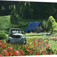 "Chevy in the Poppies" 16x22 original oil painting or signed edition canvas or paper print
