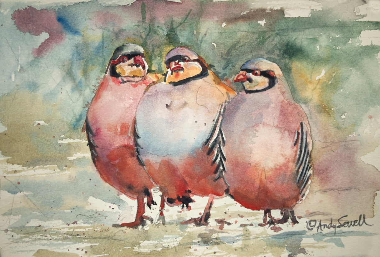 "Chukar Dance" - A watercolor giclee print of 3 chukars strutting in the sun - by Andy Sewell