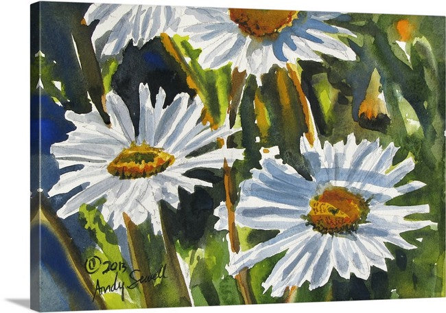 "Daisy Trio" - a  signed edition giclee art print from an original watercolor of daisies in the sunshine