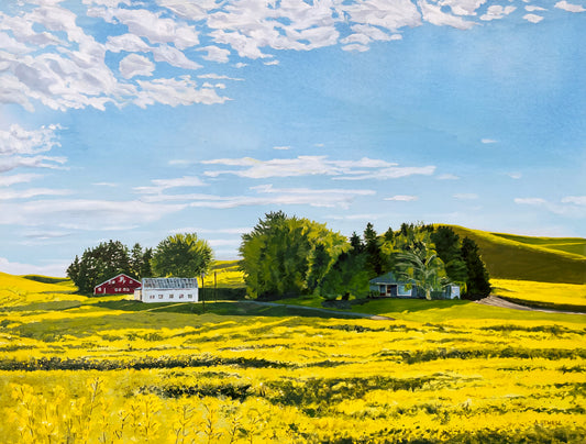 "Canola Springtime" - a ltd. edition Giclee reprod. from an oil painting of the palouse country landscape in canola bloom