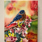 "Bluebird in the Blossoms" - Original watercolor painting, or paper or canvas Giclée art print of a Western Bluebird in the blossoms.