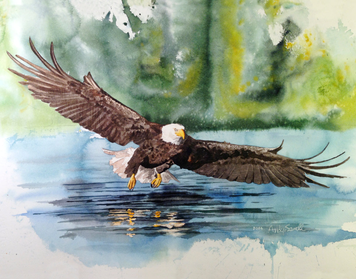 "Eagle: Fish Fear Him" - A limited edition s/n Giclee art print  from an Original watercolor of an eagle over the water