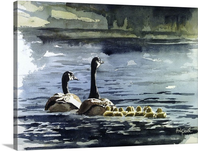 "A Family Swim" - 12"x16" A signed edition Giclee art print  from an original watercolor of a canadian goose family.