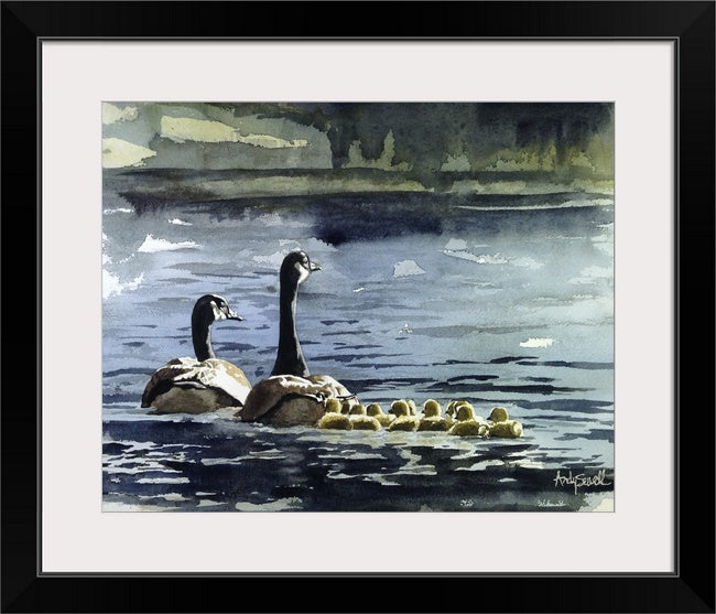 "A Family Swim" - 12"x16" A signed edition Giclee art print  from an original watercolor of a canadian goose family.