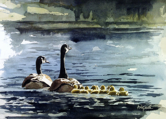 "A Family Swim" - 12"x16" A signed edition Giclee art print  from an original watercolor of a canadian goose family.