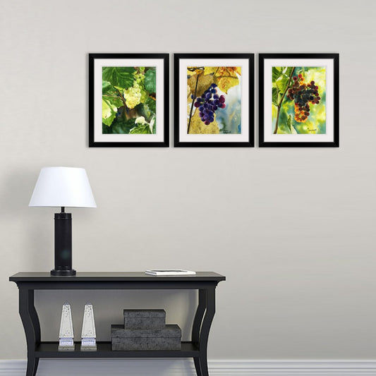 “Set of 3 grapes” a signed set of Giclee art prints from watercolors of grapes.