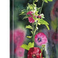 "Hollyhock Highlights" - an 8"x24" limited edition s/n giclee art print from an original watercolor