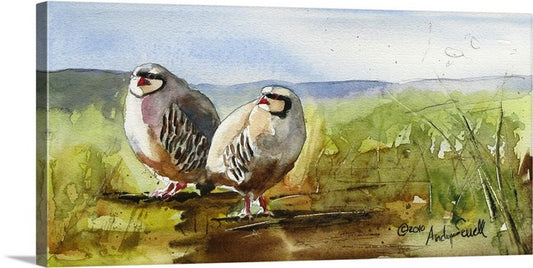 "Huddling up" 20x10" -A signed Giclee art print  from an Original watercolor of 2 chukars in a huddle