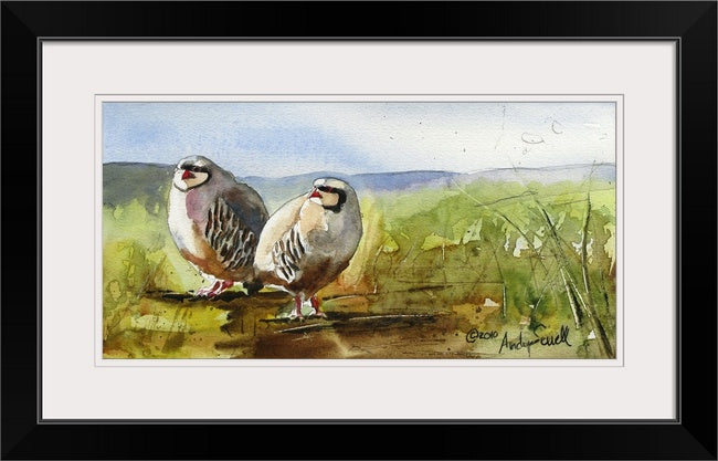 "Huddling up" 20x10" -A signed Giclee art print  from an Original watercolor of 2 chukars in a huddle
