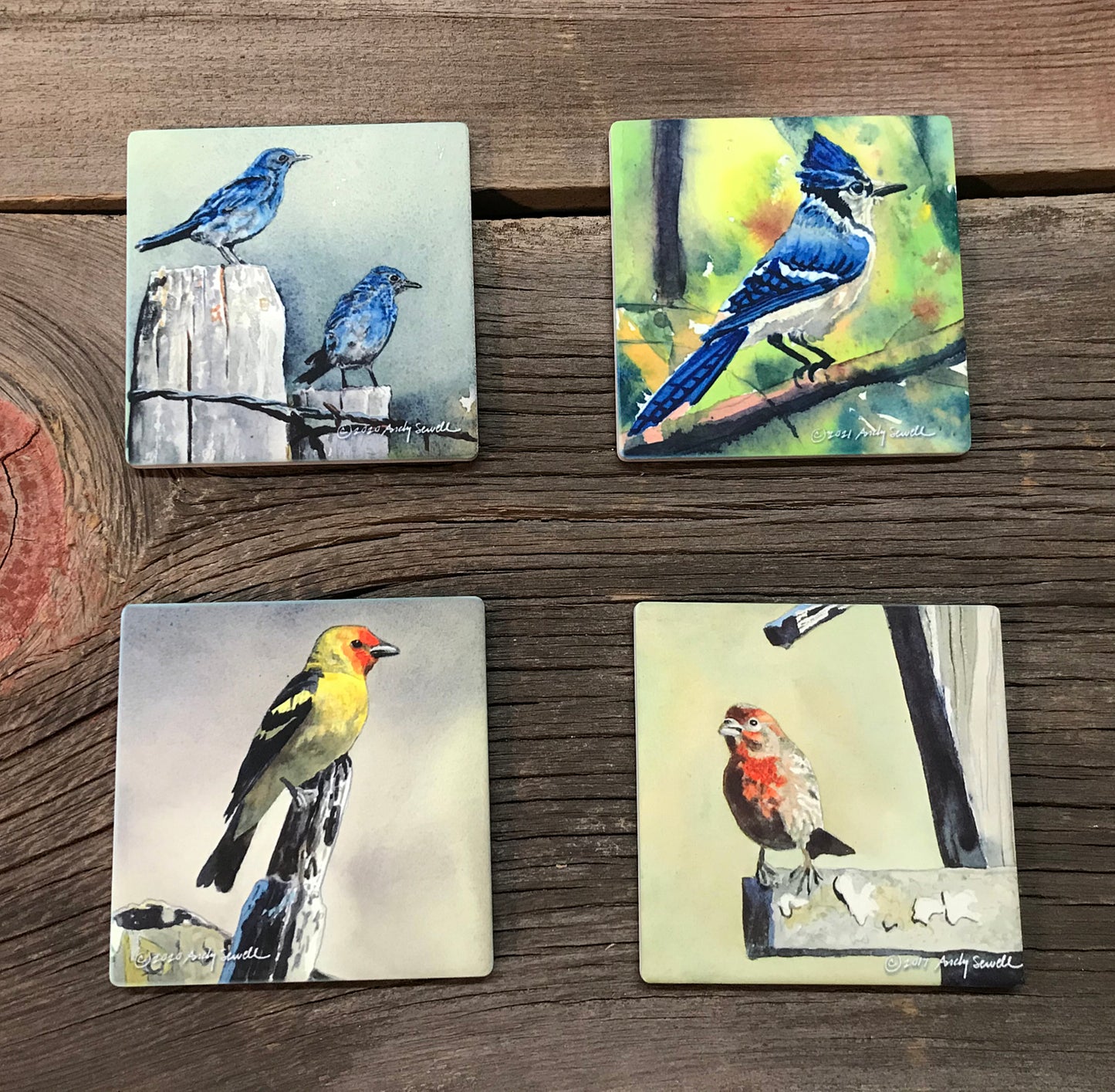 "Hummingbirds/Songbirds" themed coaster sets: 2 options, see below.