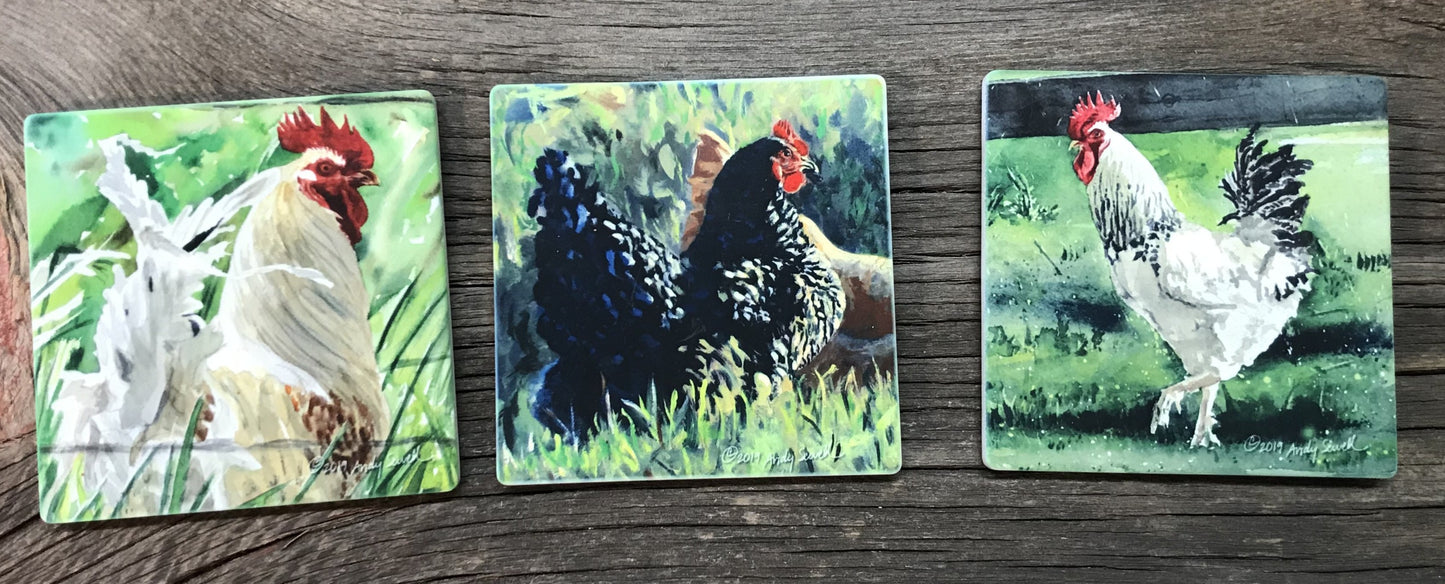 ASC182 "Chicken Colors" Chicken ceramic coaster