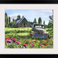"5 Window June Chevy in the Poppies" Antique Chevy Truck Art Print - a limited edition s/n canvas or paper print from watercolor