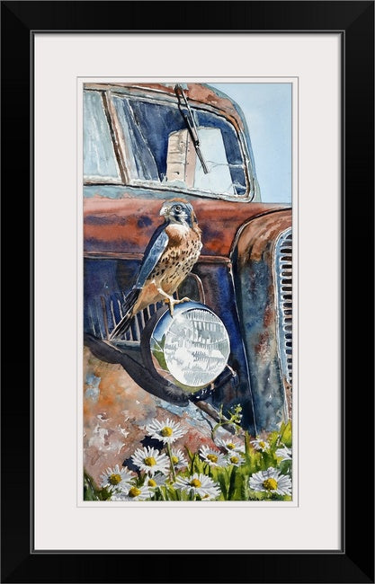 "Kestrel Patina" - 11"x22" canvas or paper Giclée art print from a watercolor