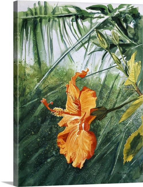 "Orange Hibiscus" 22x30 Original watercolor or giclee print