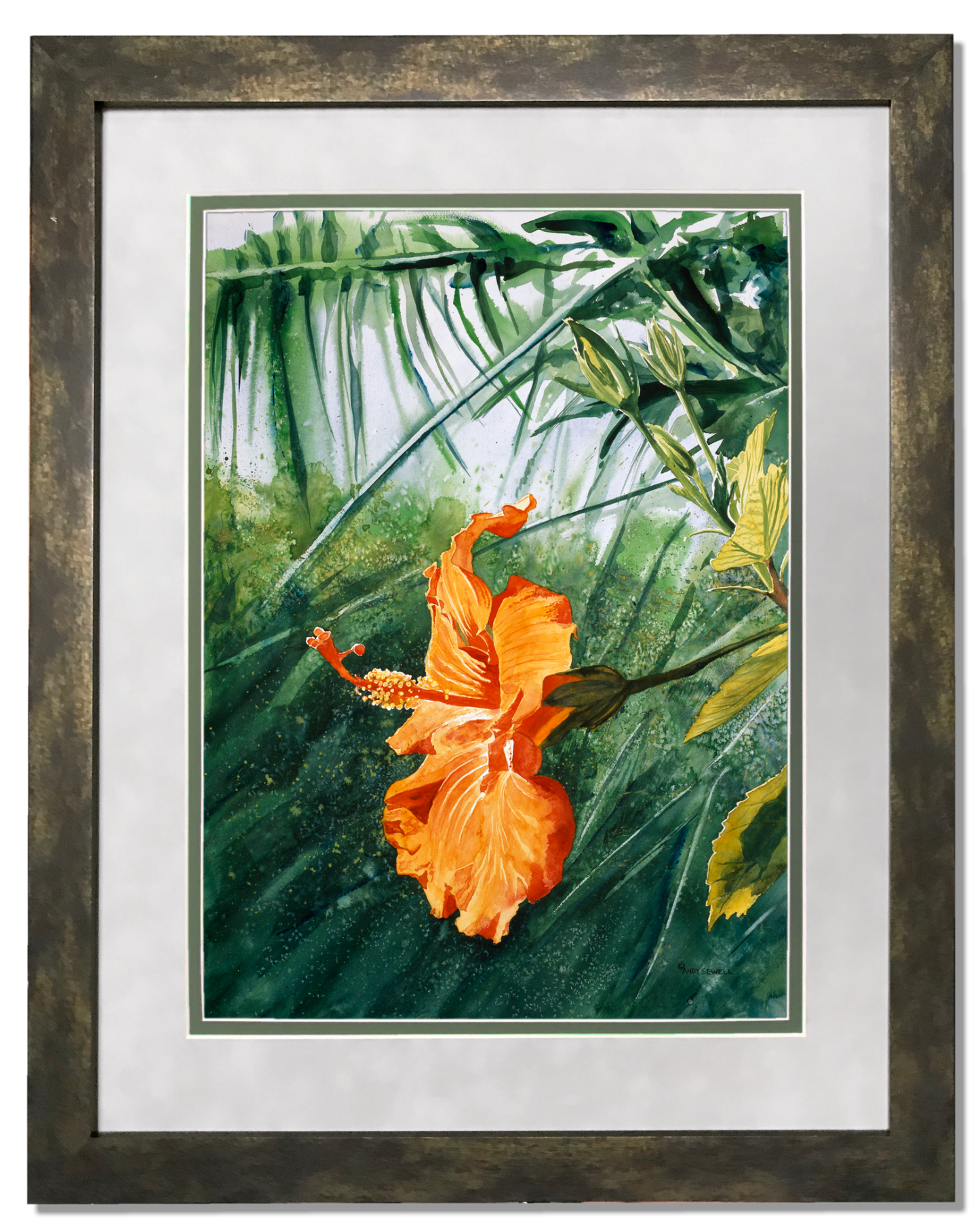 "Orange Hibiscus" 22x30 Original watercolor or giclee print