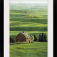 "Palouse Winter" -16"x24" ltd. edition Giclee reproductions of the Northwest Palouse country landscapes- by Andy Sewell