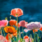 "Poppy Morning" - 24x36" Ltd.  Edition, Giclée of Poppies from Original Watercolor by Andy Sewell