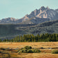 "Sawtooth Morning Shadows” -  - Canvas or fine art paper Giclée art prints from oil painting.