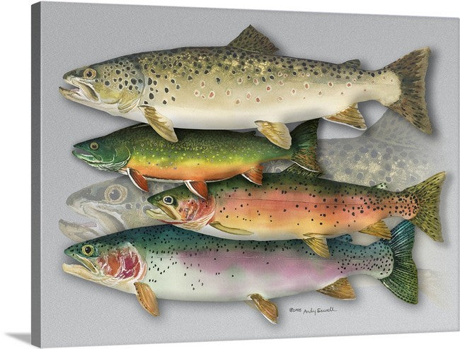 "School Colors" - Paper or canvas Giclée art print of a watercolor of the grand slam of trout!
