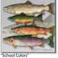 ASC014 "School Colors" ceramic coaster