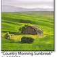 ASC104 "Country Morning Sunbreak" ceramic coaster