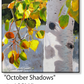 ASC397 "October Shadows" ceramic coaster