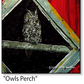 ASC379 "Owl's Perch" ceramic coaster