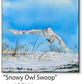 ASC380 "Snowy Owl Swoop" ceramic coaster