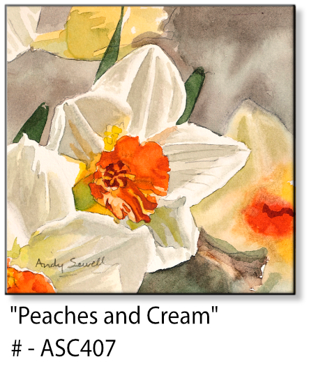 ASC407 "Peaches and Cream (daffodil)" ceramic coaster