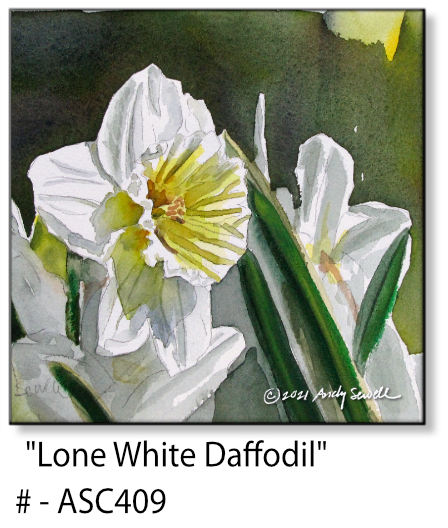 ASC409 "Lone White Daffodil" ceramic coaster