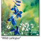 ASC281 "Wild Larkspur " ceramic coaster
