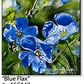 ASC047 "Blue Flax" ceramic coaster