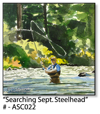ASC022 "Searching Sept. Steelhead"