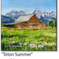 ASC419 "Teton Summer" ceramic coaster